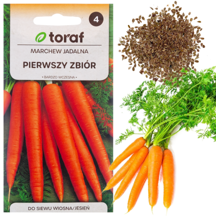 W1109 MARCHEW NASIONA MARCHWI PIERWSZY ZBIÓR B. WCZESNA MARCHEWKI SOCZYSTA NA SOK