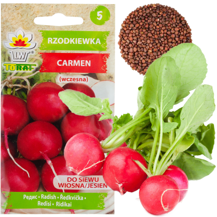 W1194 RZODKIEWKA NASIONA RZODKIEWKI CARMEN CZERWONA WCZESNA ŁAGODNA NIE PARCIEJE 10G
