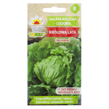 W1212 SAŁATA KRUCHA LODOWA KRÓLOWA LATA WCZESNA NASIONA SAŁATY WARZYW 1G