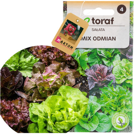 W6595 SAŁATA MIX ODMIAN NASIONA SAŁAT MIESZANKA KRUCHA MASŁOWA 1G