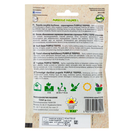 W6991 FASOLA SZPARAGOWA KARŁOWATA PURPLE TEEPEE NASIONA WARZYW FASOLI 30G