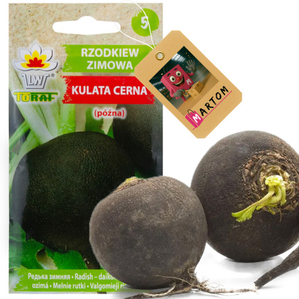 W7288 RZODKIEW CZARNA KULATA CERNA 5G NASIONA RZODKWI