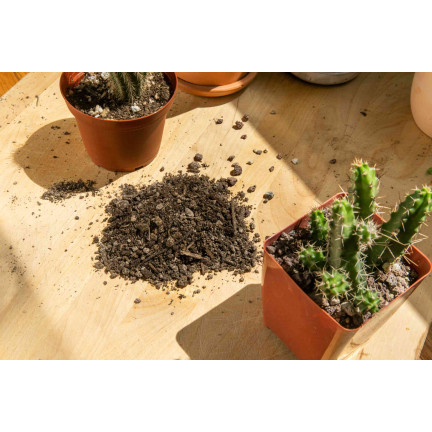 BIO10 PODŁOŻE ZIEMIA DO KAKTUSÓW I SUKULENTÓW ALOESU PRZEPUSZCZALNA 5L