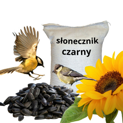 TUR5 CZARNY SŁONECZNIK ZIARNO POKARM KARMA MIESZANKA DLA PTAKÓW NA ZIMĘ 1KG