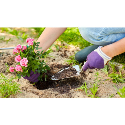 Ziemia do róż, podłoże do przesadzania kwiatów, specjalistyczne, z perlitem, Biovita 20l