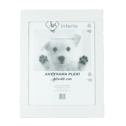 X2 ANTYRAMA 30X40CM