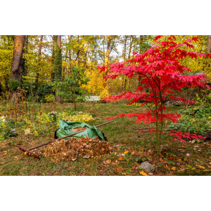 SUM70 SUMIN NAWÓZ UNIWERSALNY JESIENNY 1KG OPTYMALNY SKŁAD