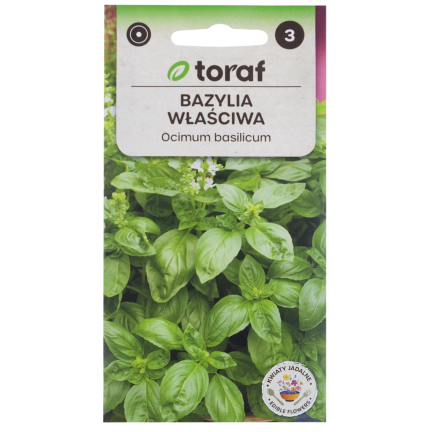 Z3001 BAZYLIA WŁAŚCIWA NASIONA BAZYLII ZIÓŁ ZIOŁA PRZYPRAWY ZIELONA AROMATYCZNA 1G
