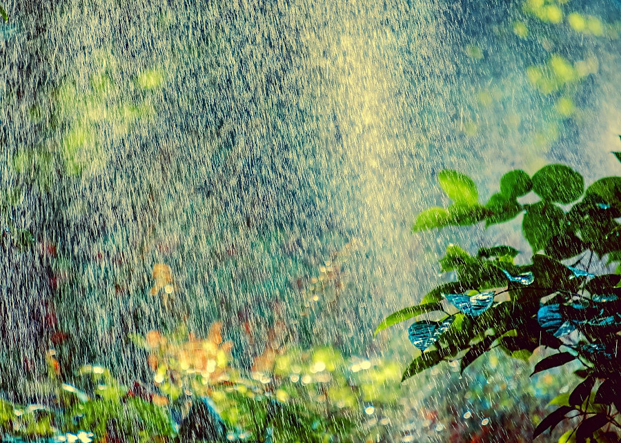 TG64385 ZRASZACZ OGRODOWY DO TRAWNIKA OGRODU 8 FUNKCJI