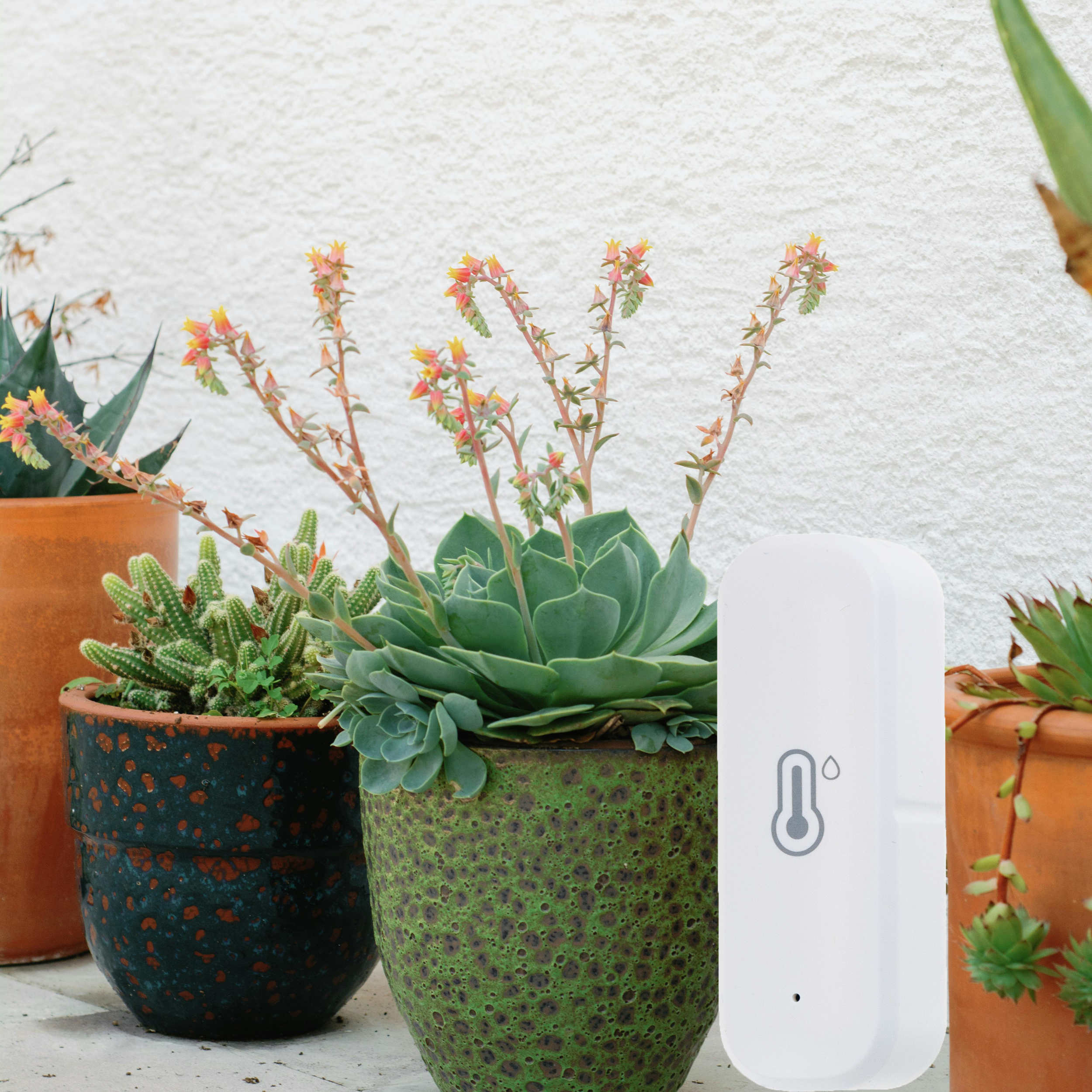 IM002 CZUJNIK WILGOTNOŚCI TEMPERATURY TERMOMETR HIGROMETR