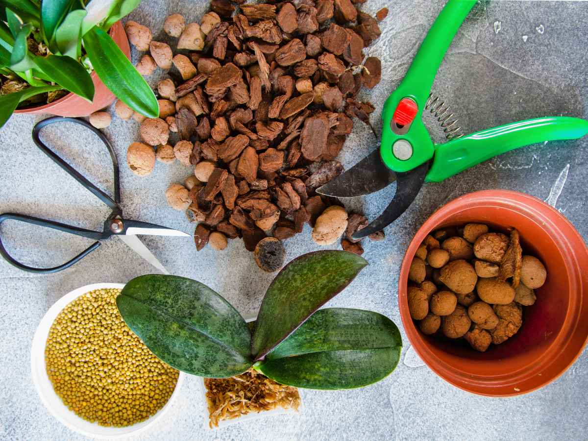 BIO8 NATURALNE PODŁOŻE ZIEMIA DO STORCZYKÓW ORCHIDEI 3L BIOVITA