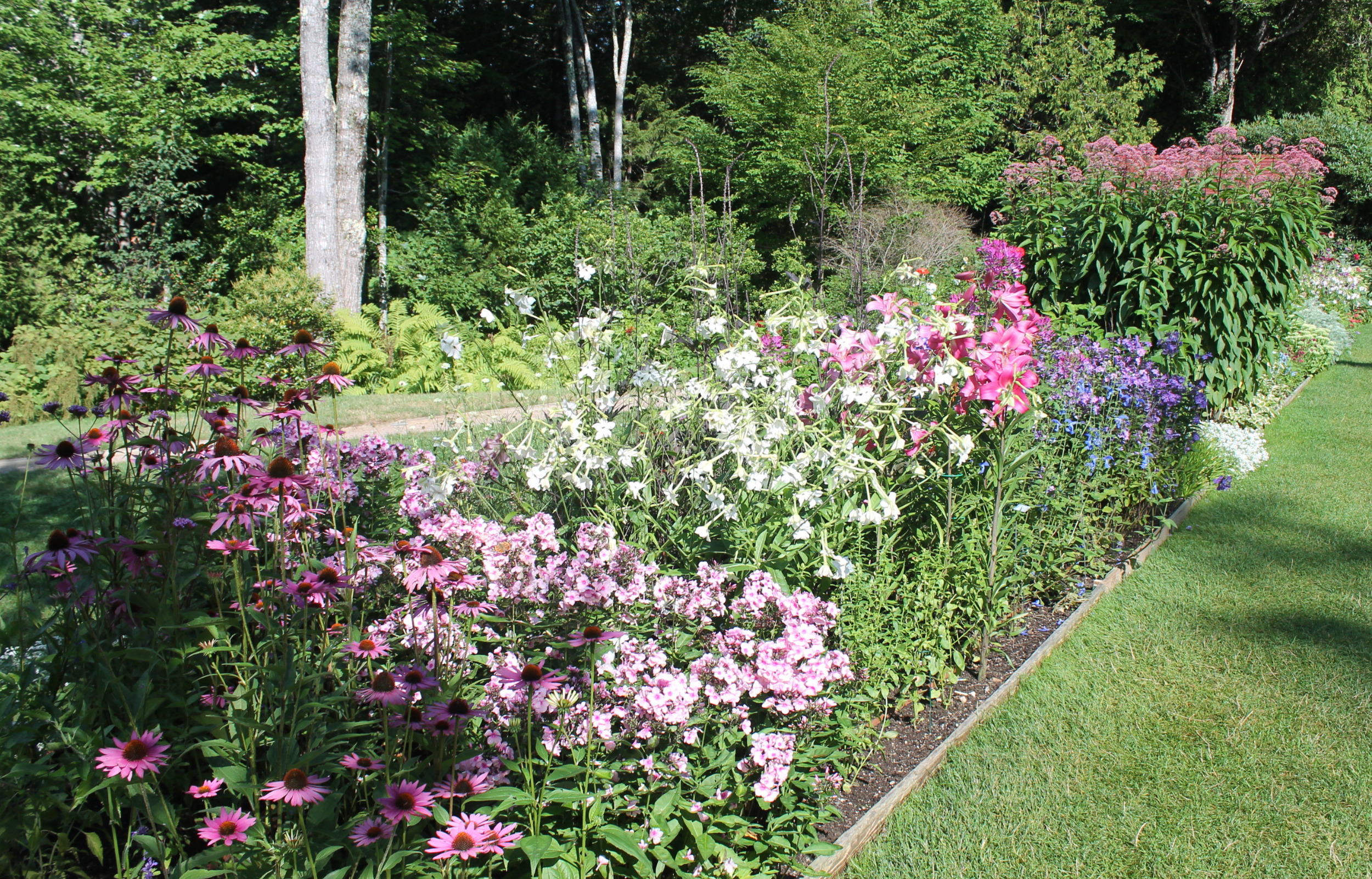 SUM26 SUMIN NAWÓZ DO BYLIN 1KG